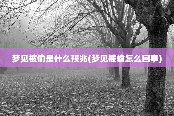 梦见被偷是什么预兆(梦见被偷怎么回事)