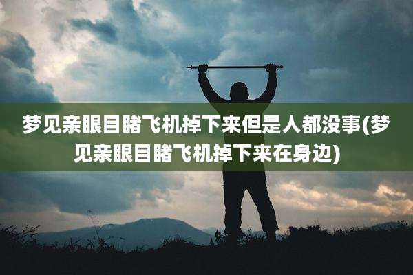 梦见亲眼目睹飞机掉下来但是人都没事(梦见亲眼目睹飞机掉下来在身边)