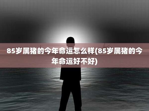 85岁属猪的今年命运怎么样(85岁属猪的今年命运好不好)