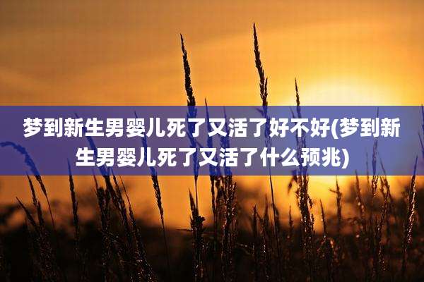 梦到新生男婴儿死了又活了好不好(梦到新生男婴儿死了又活了什么预兆)