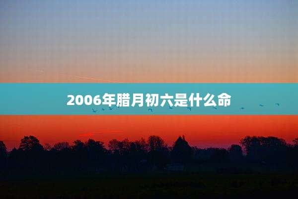 2006年腊月初六是什么命