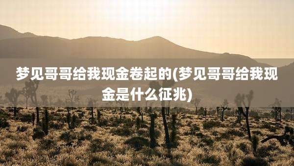 梦见哥哥给我现金卷起的(梦见哥哥给我现金是什么征兆)
