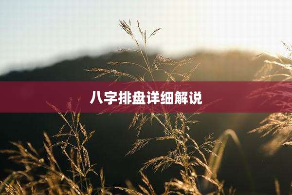八字排盘详细解说