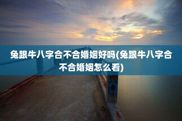 兔跟牛八字合不合婚姻好吗(兔跟牛八字合不合婚姻怎么看)