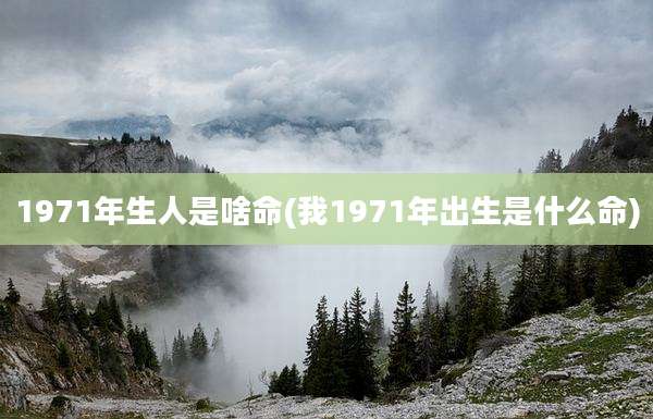 1971年生人是啥命(我1971年出生是什么命)