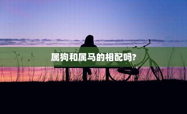 属狗和属马的相配吗?