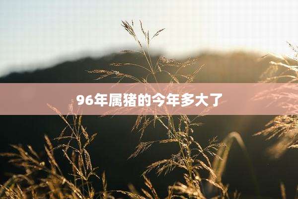 96年属猪的今年多大了