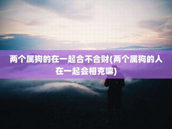 两个属狗的在一起合不合财(两个属狗的人在一起会相克嘛)