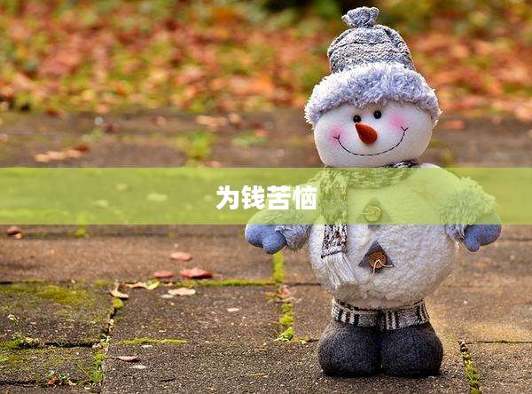 为钱苦恼