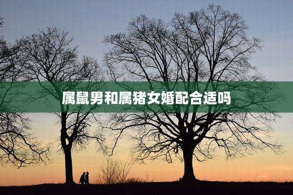 属鼠男和属猪女婚配合适吗