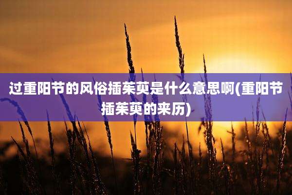 过重阳节的风俗插茱萸是什么意思啊(重阳节插茱萸的来历)