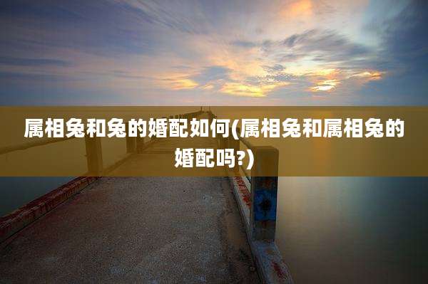 属相兔和兔的婚配如何(属相兔和属相兔的婚配吗?)