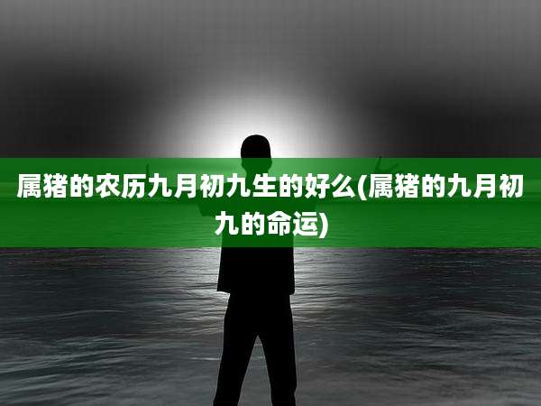 属猪的农历九月初九生的好么(属猪的九月初九的命运)