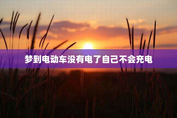梦到电动车没有电了自己不会充电