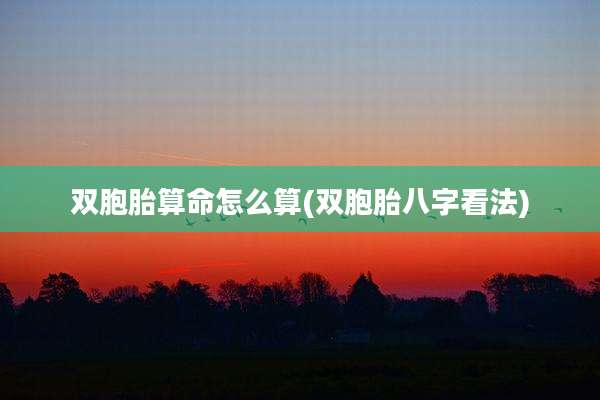双胞胎算命怎么算(双胞胎八字看法)