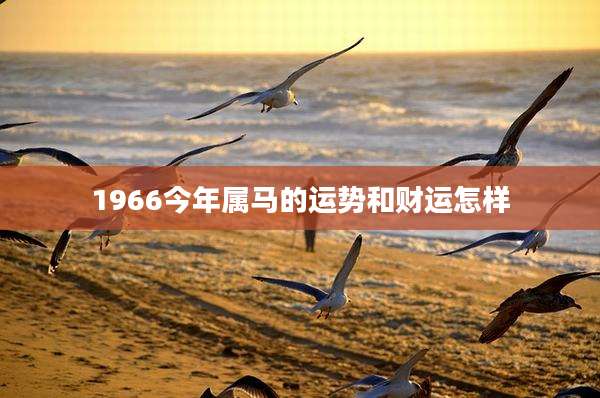 1966今年属马的运势和财运怎样