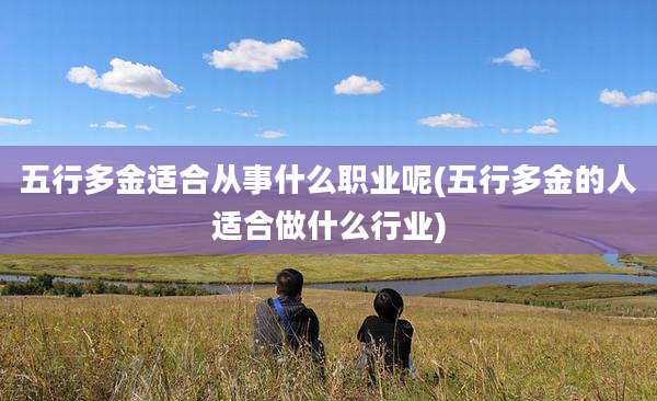 五行多金适合从事什么职业呢(五行多金的人适合做什么行业)