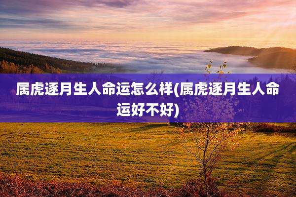 属虎逐月生人命运怎么样(属虎逐月生人命运好不好)
