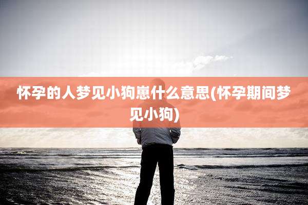 怀孕的人梦见小狗崽什么意思(怀孕期间梦见小狗)