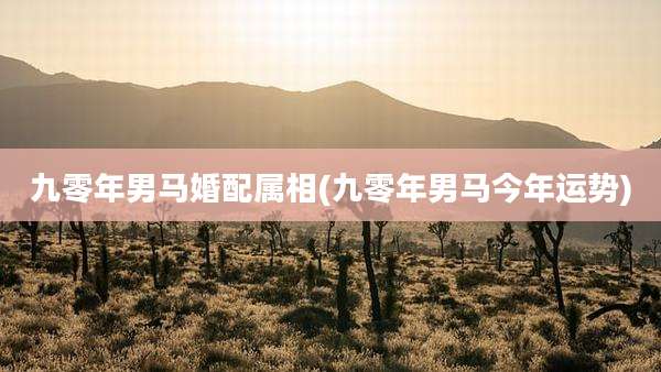 九零年男马婚配属相(九零年男马今年运势)