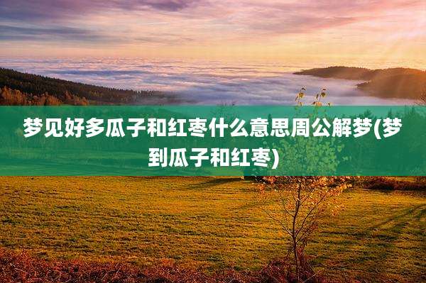 梦见好多瓜子和红枣什么意思周公解梦(梦到瓜子和红枣)