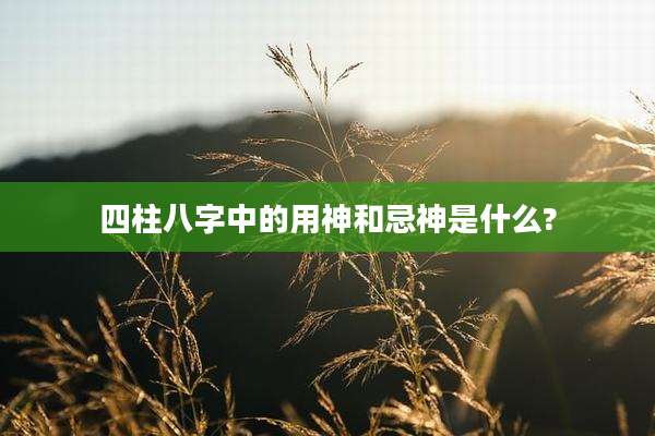 四柱八字中的用神和忌神是什么?