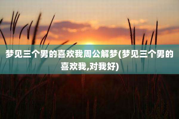 梦见三个男的喜欢我周公解梦(梦见三个男的喜欢我,对我好)
