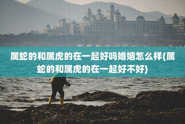 属蛇的和属虎的在一起好吗婚姻怎么样(属蛇的和属虎的在一起好不好)