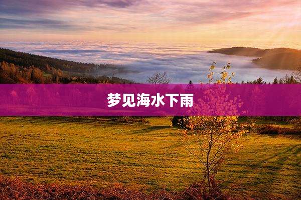 梦见海水下雨