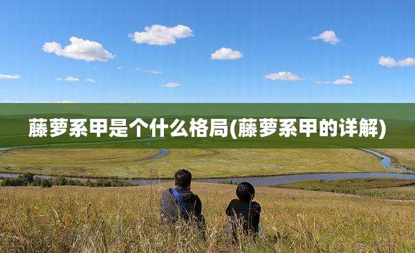 藤萝系甲是个什么格局(藤萝系甲的详解)