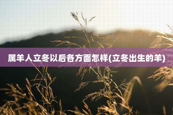 属羊人立冬以后各方面怎样(立冬出生的羊)