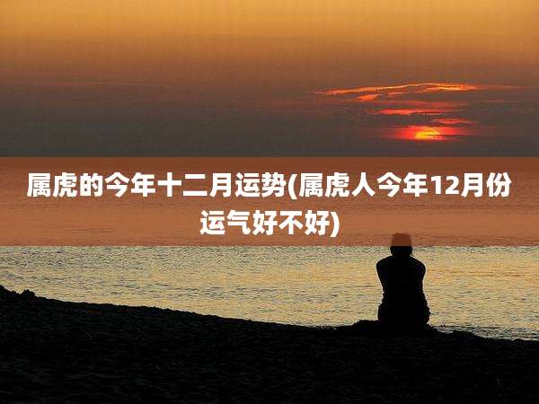 属虎的今年十二月运势(属虎人今年12月份运气好不好)
