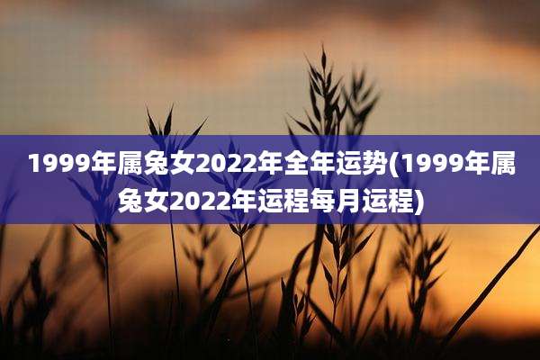 1999年属兔女2022年全年运势(1999年属兔女2022年运程每月运程)