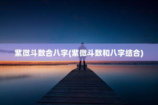紫微斗数合八字(紫微斗数和八字结合)