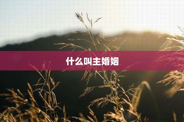 什么叫主婚姻