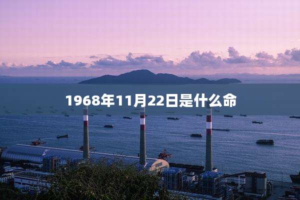 1968年11月22日是什么命