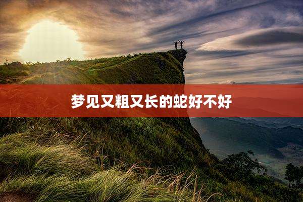 梦见又粗又长的蛇好不好