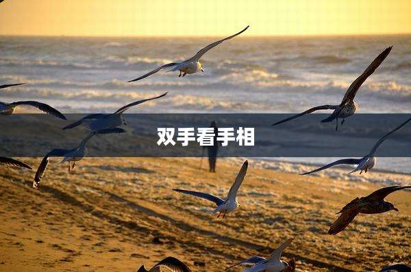 双手看手相