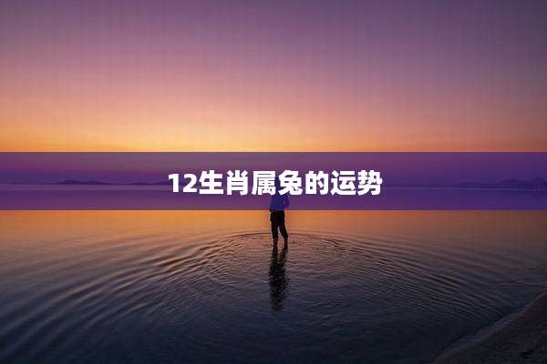 12生肖属兔的运势