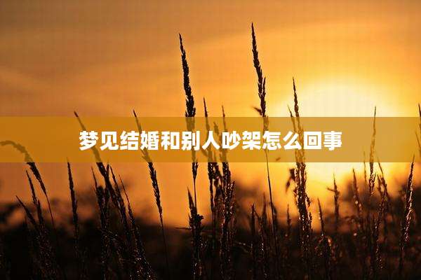 梦见结婚和别人吵架怎么回事