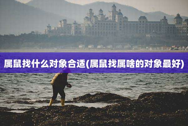 属鼠找什么对象合适(属鼠找属啥的对象最好)
