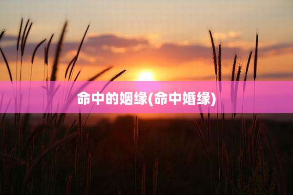 命中的姻缘(命中婚缘)