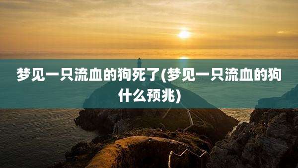 梦见一只流血的狗死了(梦见一只流血的狗什么预兆)