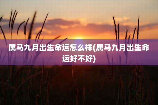 属马九月出生命运怎么样(属马九月出生命运好不好)