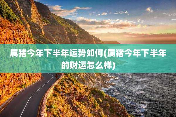属猪今年下半年运势如何(属猪今年下半年的财运怎么样)