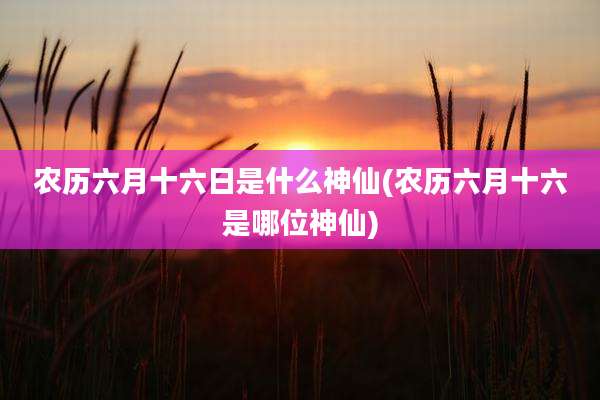 农历六月十六日是什么神仙(农历六月十六是哪位神仙)