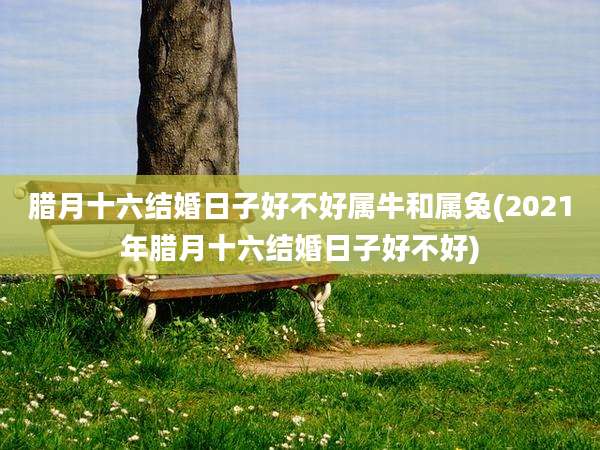 腊月十六结婚日子好不好属牛和属兔(2021年腊月十六结婚日子好不好)