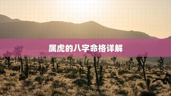 属虎的八字命格详解