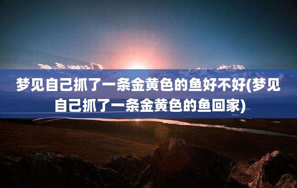梦见自己抓了一条金黄色的鱼好不好(梦见自己抓了一条金黄色的鱼回家)