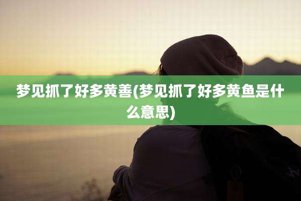 梦见抓了好多黄善(梦见抓了好多黄鱼是什么意思)